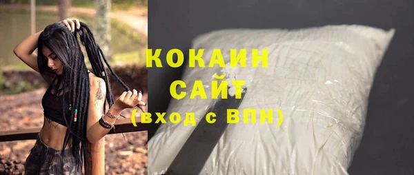 стаф Кулебаки