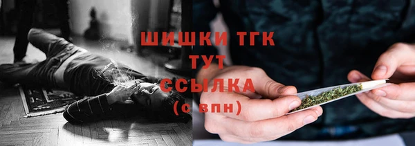 стаф Кулебаки